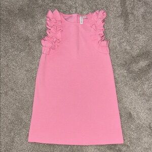 Janie & Jack Pink Ribbed Ruffle Sleeve Kids Dress size 6